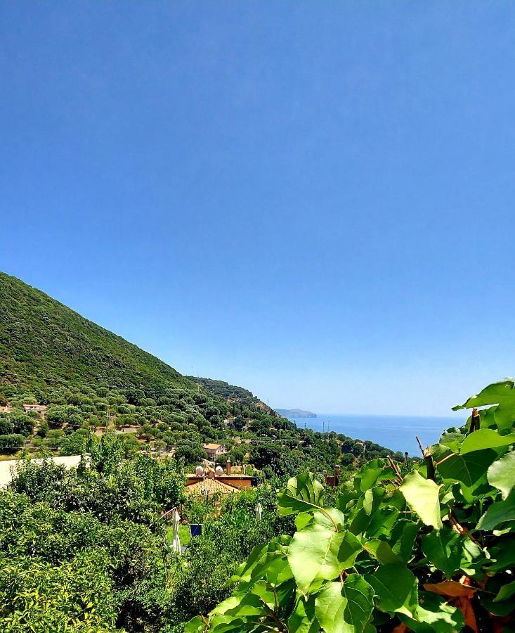 La Casa Sul Blu Albergo Diffuso Pisciotta Kültér fotó