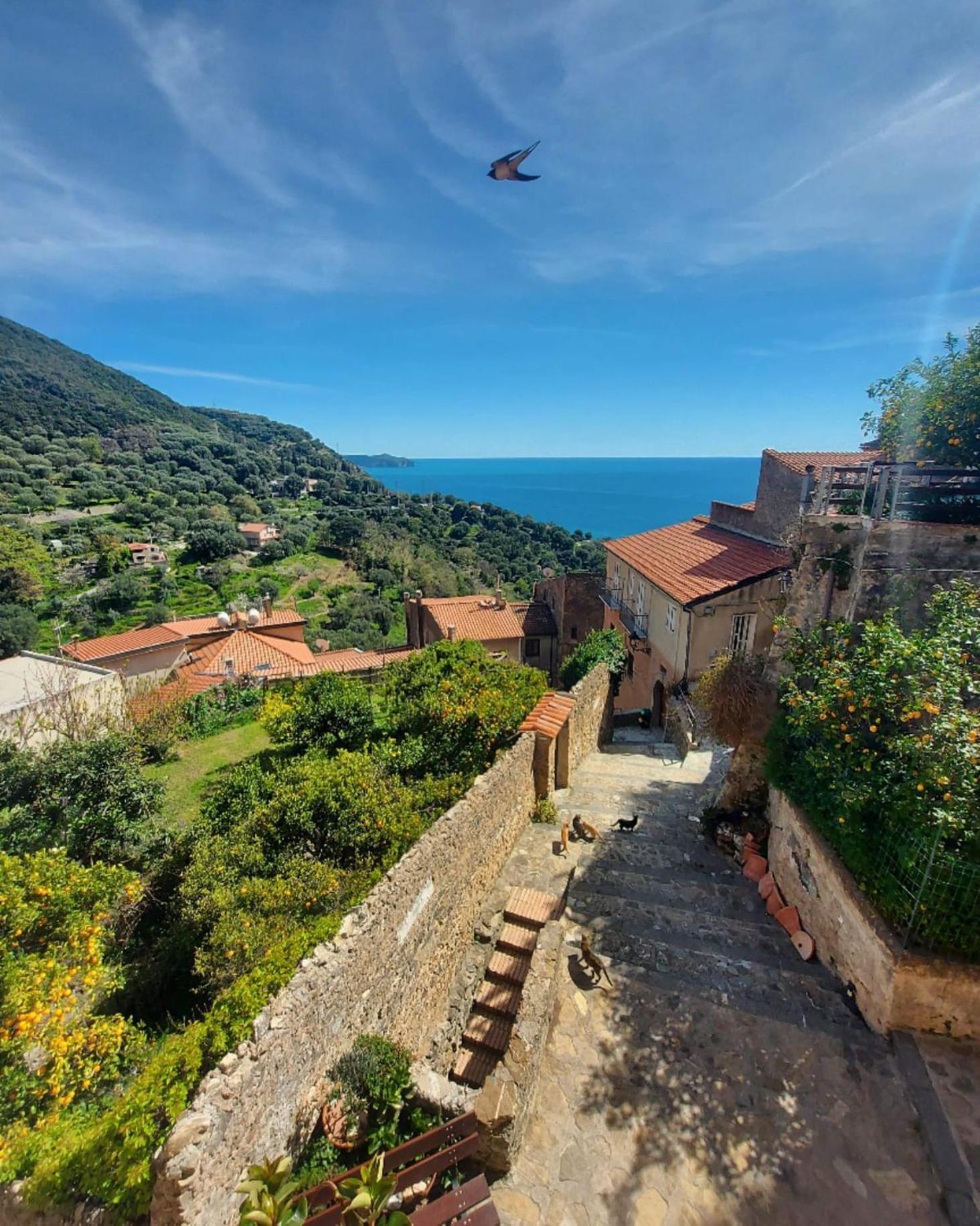 La Casa Sul Blu Albergo Diffuso Pisciotta Kültér fotó