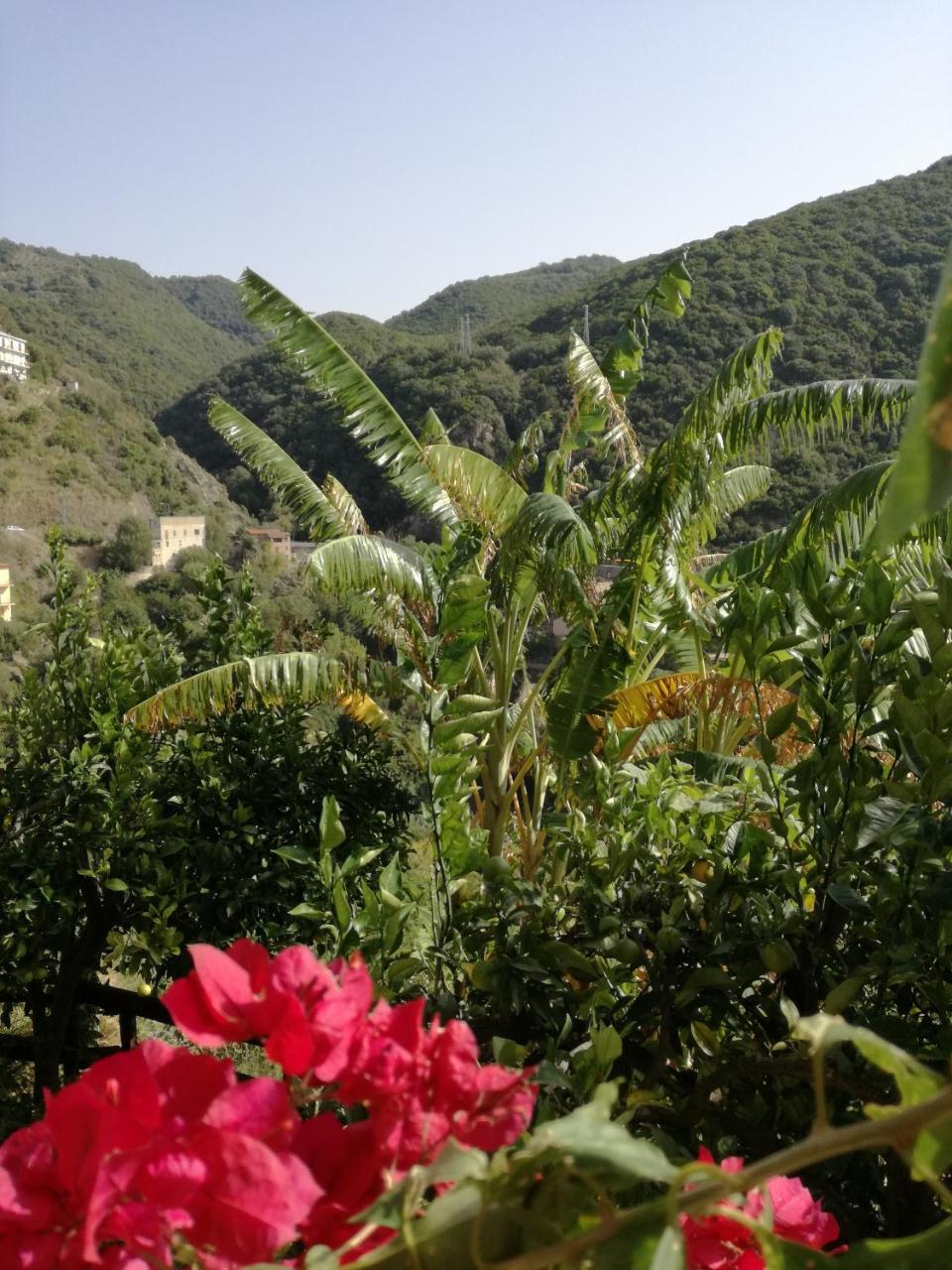 La Casa Sul Blu Albergo Diffuso Pisciotta Kültér fotó