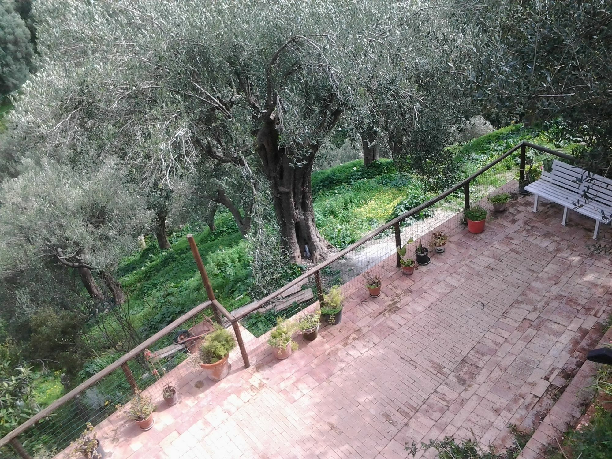La Casa Sul Blu Albergo Diffuso Pisciotta Kültér fotó
